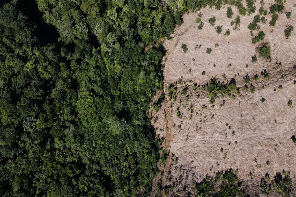 La iniciativa de la UICN y KfW enfocada en fortalecer la restauración forestal en América Latina 10 restauración