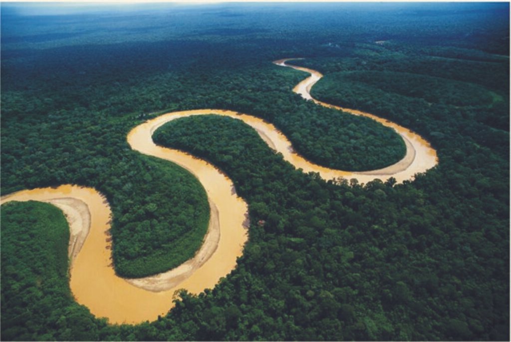 La vida natural en juego: exploración de petróleo frente al Amazonas 10 rio amazonas