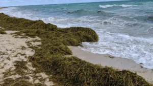 República Dominicana