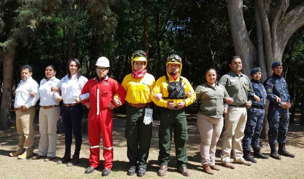 seguridad ambiental
