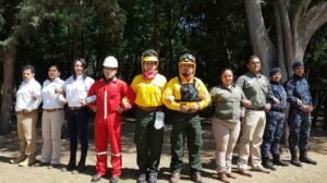 seguridad ambiental