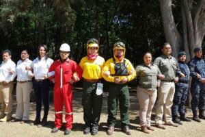 seguridad ambiental