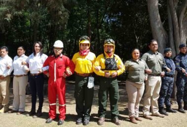 seguridad ambiental