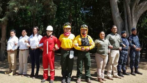seguridad ambiental