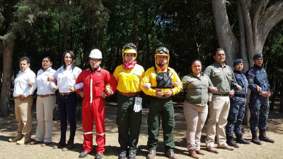 seguridad ambiental