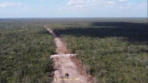 selva maya aunque nos cueste la vida