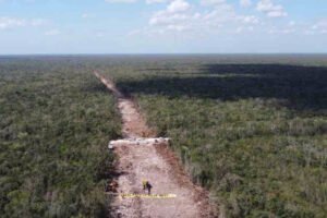 selva maya aunque nos cueste la vida