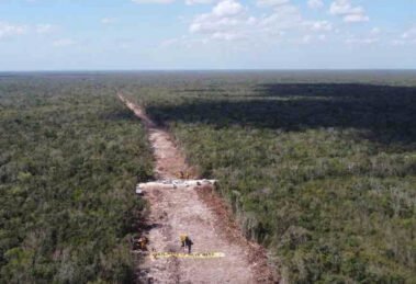 selva maya aunque nos cueste la vida