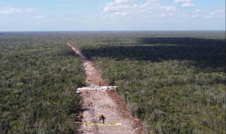 selva maya aunque nos cueste la vida