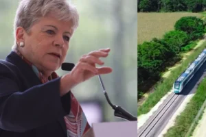 semarnat-alicia barcena