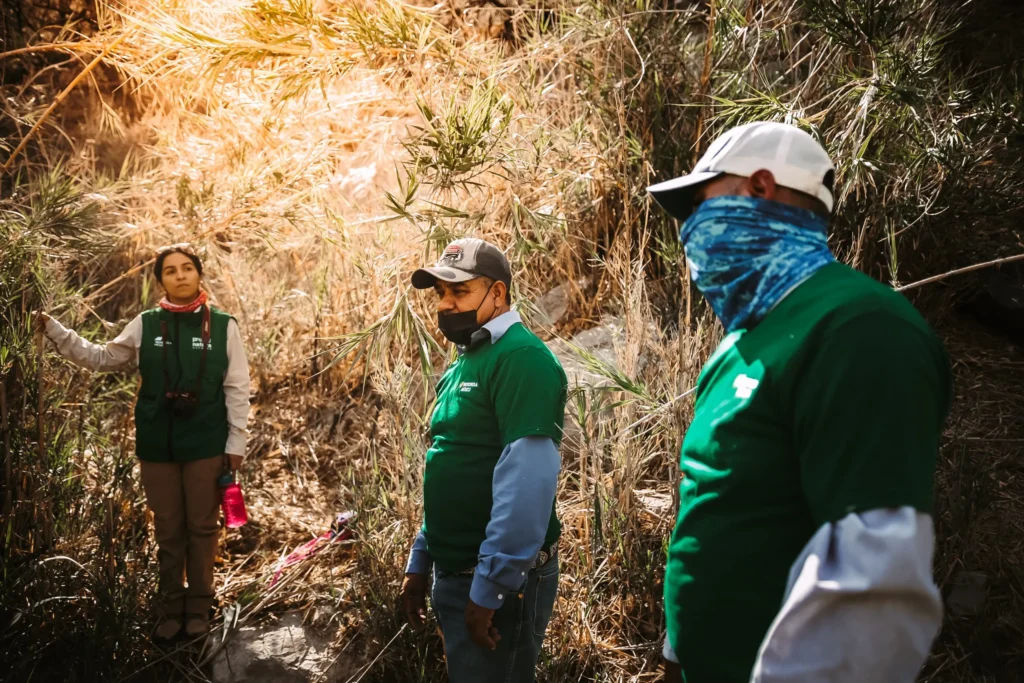 Semarnat Impulsa La Construcción De Alianzas Para La Defensa Ambiental ...