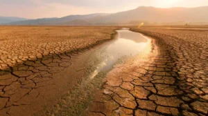sequía ambiental