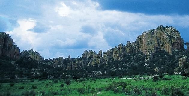 sierra organos