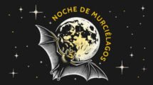 NOCHE DE LOS MURCIELAGOS