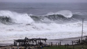 tormenta tropical “Dalila”