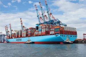 maritimos