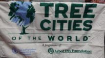 Tree Cities