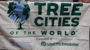 Tree Cities