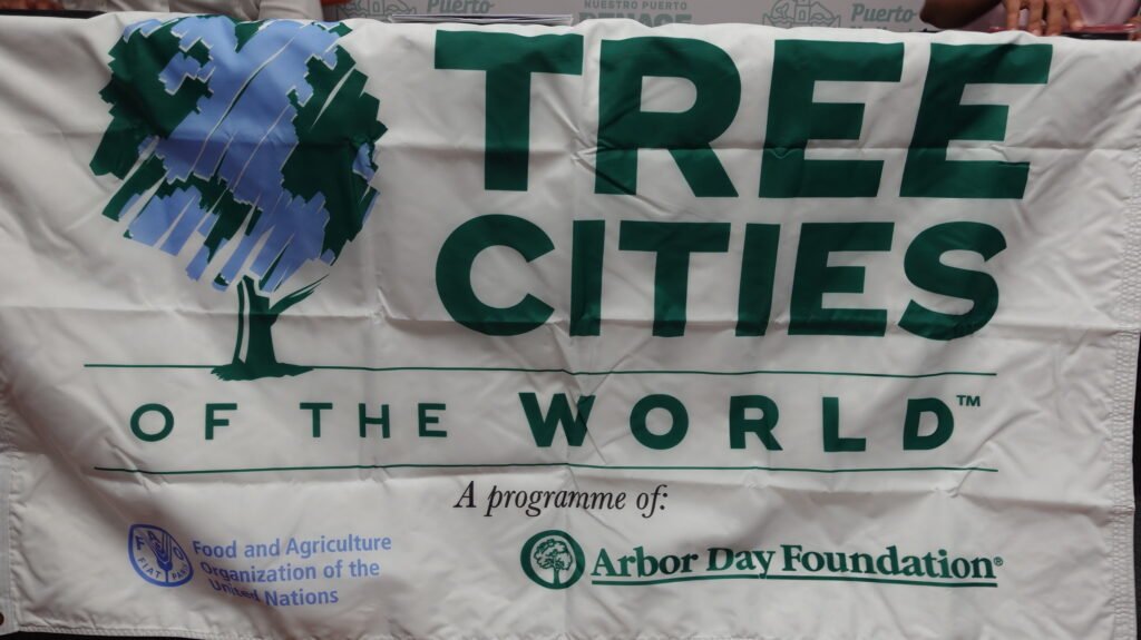 Tree Cities of the World: un distintivo con propósito 10 Tree Cities