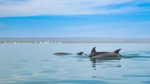 turismo regenerativo