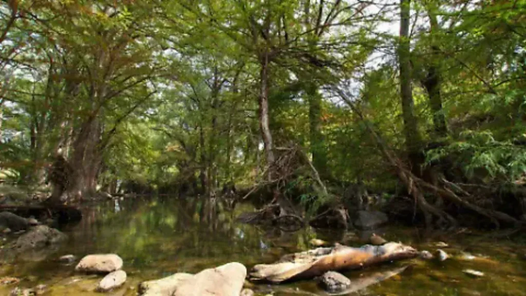 Turismo regenerativo: casos de éxito en México 10 turismo regenerativo 2