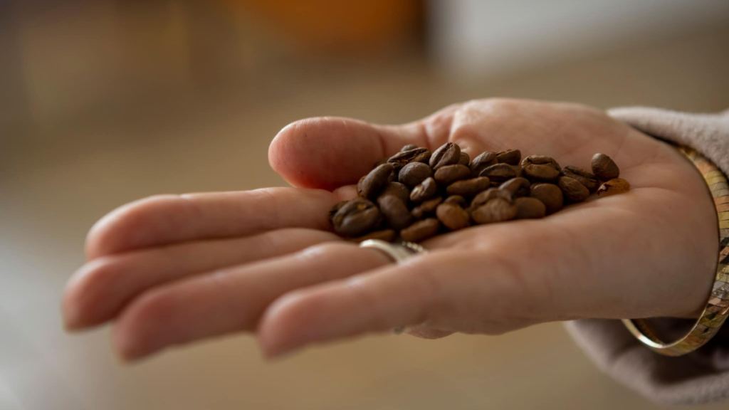 UAEMéx reflexiona sobre la cultura del café