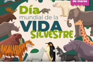 vida silvestre