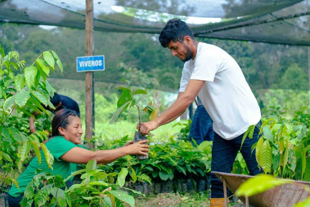 La transformación de las políticas públicas: Herramientas reales para la protección de nuestra biodiversidad compartida 10 viveros