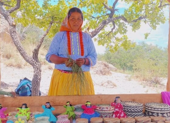 Desde la Sierra Tarahumara: el arte que une comunidad y tradición 12 Sierra Tarahumara